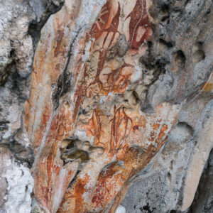 Dense cluster of red ochre motifs on a pale limestone wall, Misool, Raja Ampat, Indonesia
