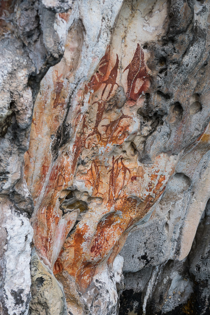 Dense cluster of red ochre motifs on a pale limestone wall, Misool, Raja Ampat, Indonesia