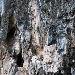 Eroded limestone cliff face with small cave and faint ochre traces, Misool, Raja Ampat, Indonesia