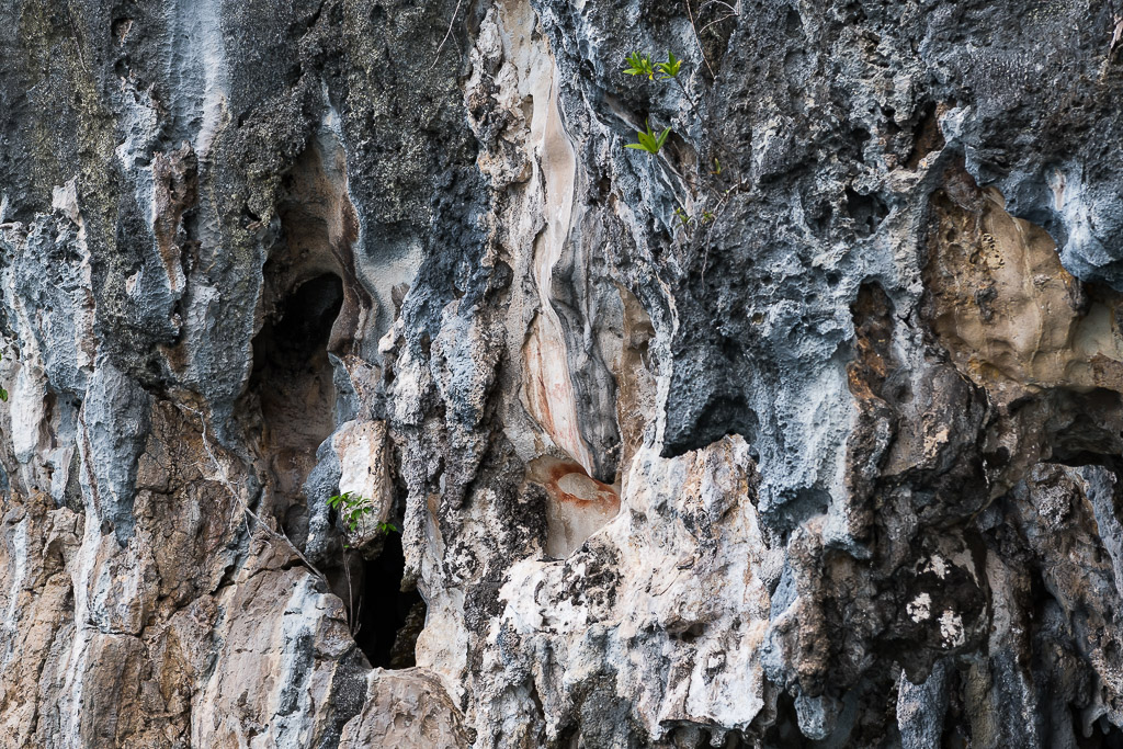 Eroded limestone cliff face with small cave and faint ochre traces, Misool, Raja Ampat, Indonesia