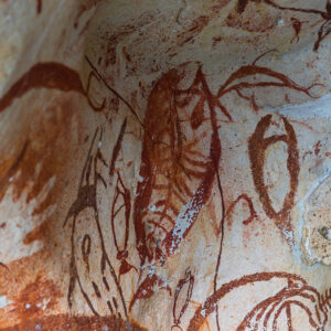 Detail of dark red painted figure with curved lines on limestone, Misool, Raja Ampat, Indonesia