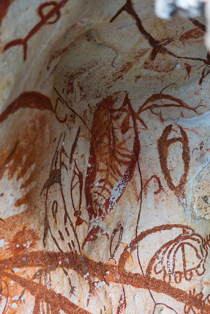 Detail of dark red painted figure with curved lines on limestone, Misool, Raja Ampat, Indonesia