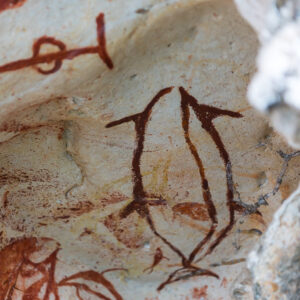 Detail of red ochre fish-like figure and cross motif on rock, Misool, Raja Ampat, Indonesia