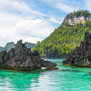 Jagged black karst rocks in an emerald lagoon below a flat-topped peak, Misool, Raja Ampat, Indonesia