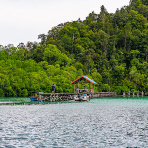 Wooden jetty with a red-roofed shelter below a forested hill, Misool, Raja Ampat, Indonesia