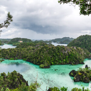 Aerial-like view of karst islands and lagoons framed by a tree, Misool, Raja Ampat, Indonesia