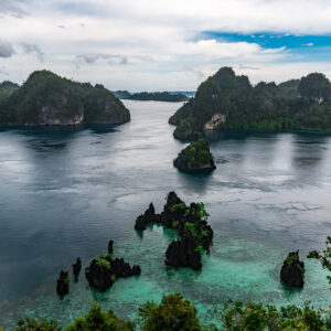 Vue d’un belvédère sur l’eau sombre du lagon parsemée de rochers karstiques, Misool, Raja Ampat, Indonésie