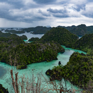Vue d’un belvédère sur îles karstiques boisées et lagons turquoise, ciel nuageux, Misool, Raja Ampat, Indonésie