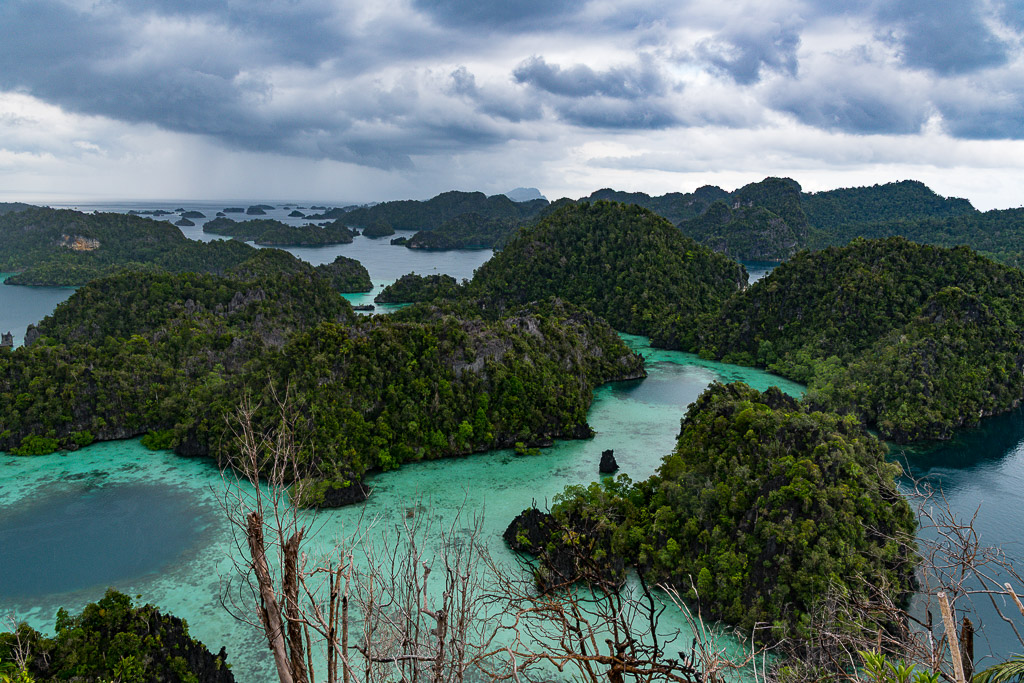 Vue d’un belvédère sur îles karstiques boisées et lagons turquoise, ciel nuageux, Misool, Raja Ampat, Indonésie