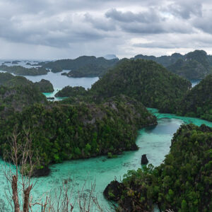 Panoramic viewpoint over karst islands with a palm tree on the left, Misool, Raja Ampat, Indonesia