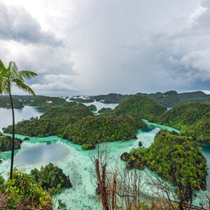 Vue d’un belvédère sur les îles karstiques avec un palmier isolé et une averse au loin, Misool, Raja Ampat, Indonésie