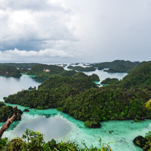 Vue d’un belvédère sur les îles karstiques et lagons peu profonds, palmier à droite, Misool, Raja Ampat, Indonésie