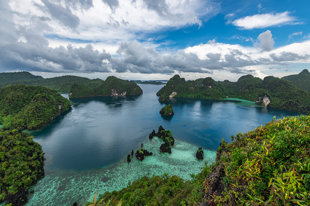 Vue d’un belvédère sur un lagon bleu profond avec pitons karstiques et récif, Misool, Raja Ampat, Indonésie