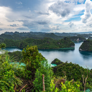 Forested karst islands and lagoon framed by pandanus foliage, Misool, Raja Ampat, Indonesia