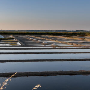 Salt pans with white salt heaps at dusk, grasses in foreground, Le Croisic, Brittany, France