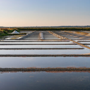 Vertical salt pan rows receding toward salt heaps in soft evening light, Le Croisic, Brittany, France
