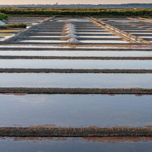 Vertical telephoto of stacked salt pans with conical salt heaps on horizon, Le Croisic, Brittany, France
