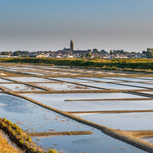 Salt marsh pans with village and church tower on horizon in evening light, Le Croisic, Brittany, France
