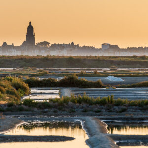 Church tower silhouette above salt marsh shrubs and pools in golden light, Le Croisic, Brittany, France