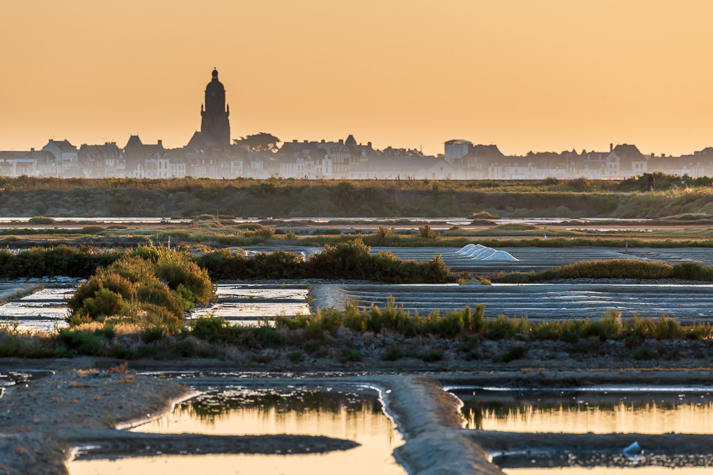 Church tower silhouette above salt marsh shrubs and pools in golden light, Le Croisic, Brittany, France