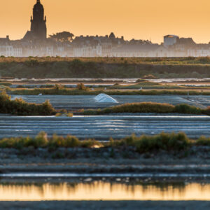 Vertical church tower silhouette above layered salt pans and green shrubs, Le Croisic, Brittany, France
