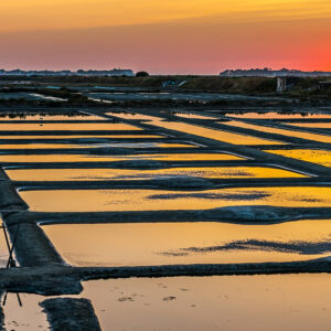 Red afterglow on horizon over salt pan grid reflecting yellow sky, Le Croisic, Brittany, France