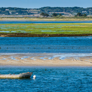 Close view of moored flat boat with gulls on sandbank and green marsh beyond, Le Croisic, Brittany, France