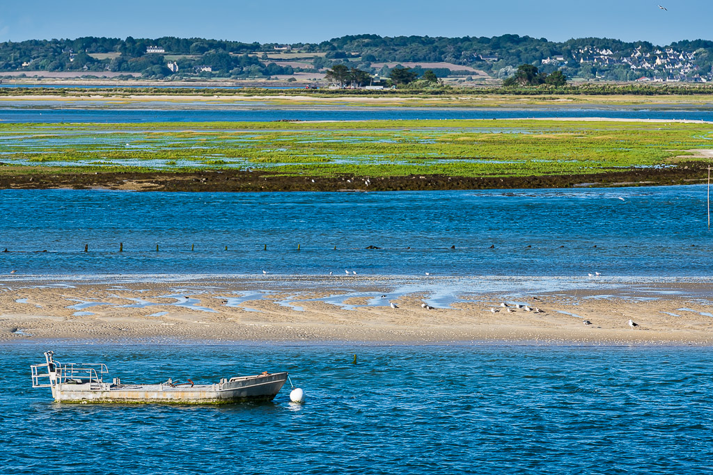 Close view of moored flat boat with gulls on sandbank and green marsh beyond, Le Croisic, Brittany, France