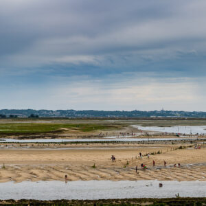 Vue large des bancs de sable bondés de pêcheurs à pied sous un ciel gris nuageux, Le Croisic, Bretagne, France