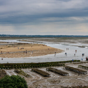 Vertical shellfish gatherers on curving sandbank above oyster trestles, Le Croisic, Brittany, France