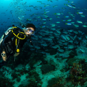 Woman diver swimming alongside a school of fusiliers and surgeonfish, Raja Ampat, Indonesia