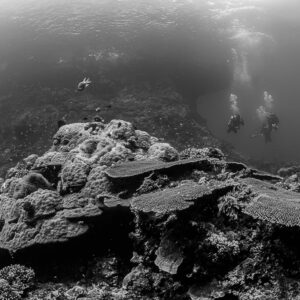 Vue en noir et blanc de plongeurs au-dessus d’un récif corallien peu profond, Raja Ampat, Indonésie