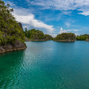 Steep forested islet shore over a calm green lagoon, Waigeo, Raja Ampat, Indonesia