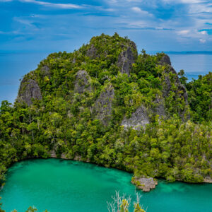 Jagged forested karst island above a turquoise cove, vertical, Waigeo, Raja Ampat, Indonesia