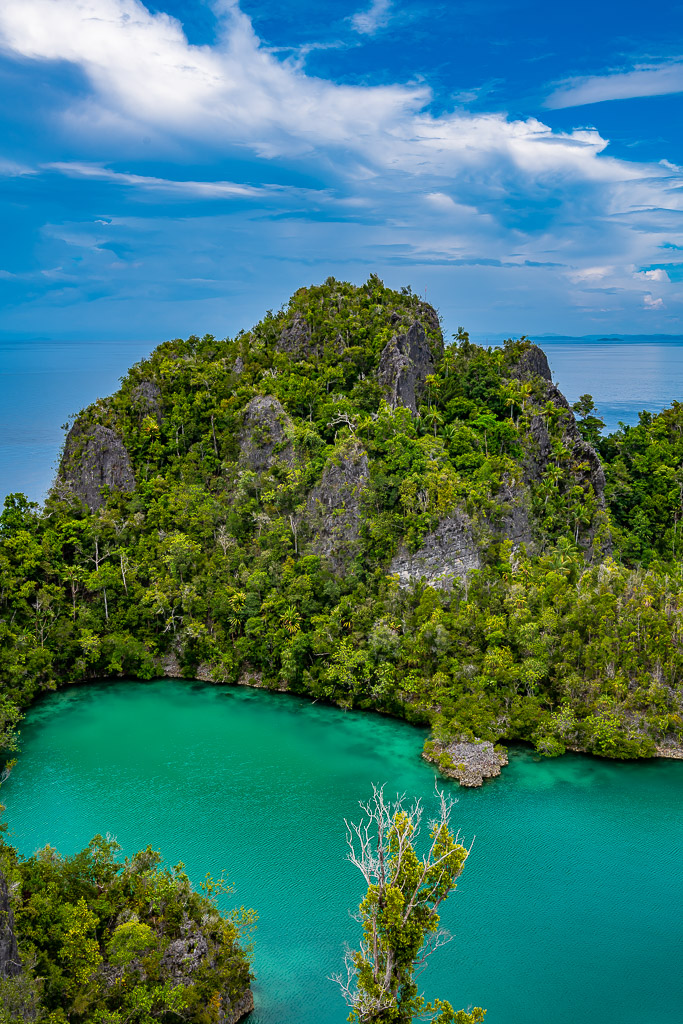 Jagged forested karst island above a turquoise cove, vertical, Waigeo, Raja Ampat, Indonesia