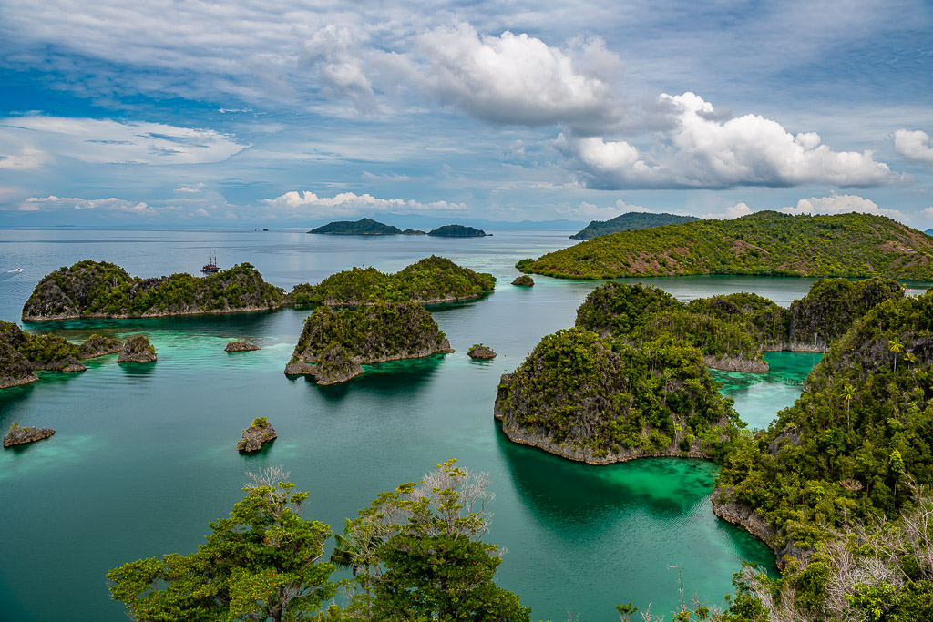 Islet-studded lagoon framed by trees in the foreground, Waigeo, Raja Ampat, Indonesia
