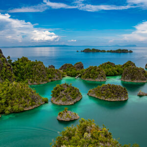 Small round islets in emerald water with a distant island, Waigeo, Raja Ampat, Indonesia