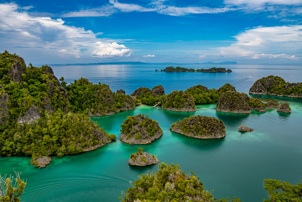 Small round islets in emerald water with a distant island, Waigeo, Raja Ampat, Indonesia
