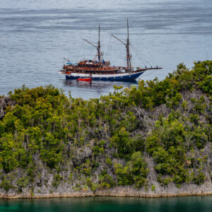 Phinisi liveaboard above a forested islet, vertical, Waigeo, Raja Ampat, Indonesia