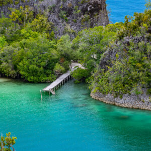 Wooden jetty in a turquoise cove between forested cliffs, Waigeo, Raja Ampat, Indonesia
