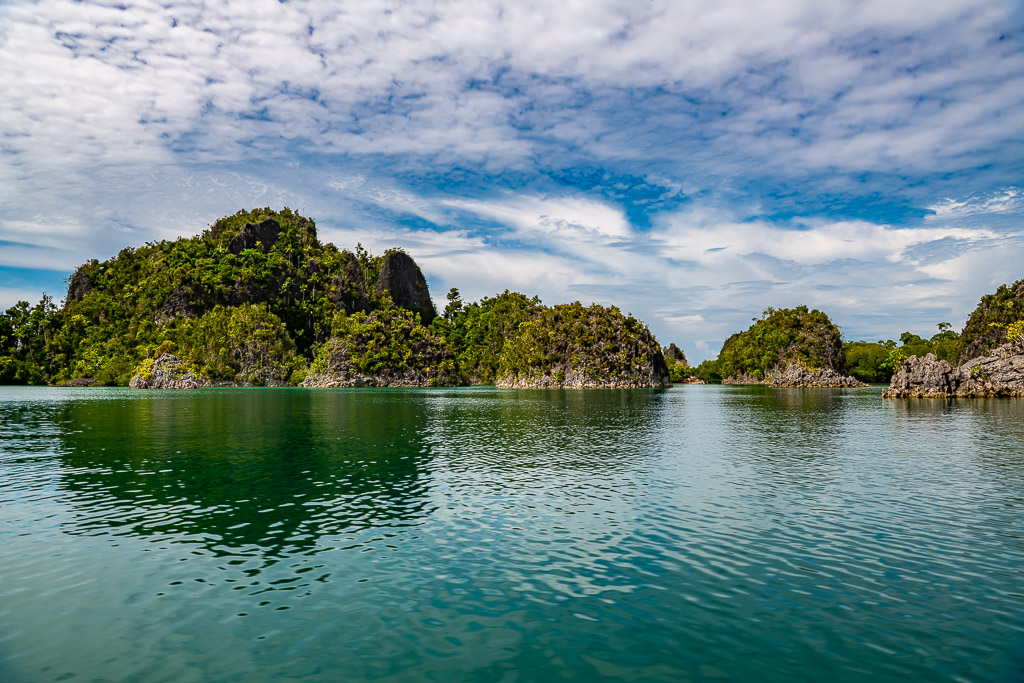 Forested karst islands reflected in a calm green lagoon, Raja Ampat, Indonesia