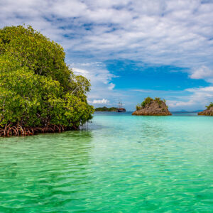 Mangrove islet over bright green shallows with distant schooner, Raja Ampat, Indonesia