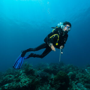 Woman diver hovering above the reef holding a pointer stick, Raja Ampat, Indonesia