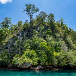 Steep karst islet covered with tropical forest under blue sky, Waigeo, Raja Ampat, Indonesia