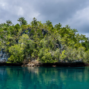 Forested limestone island with undercut base above turquoise lagoon, Waigeo, Raja Ampat, Indonesia