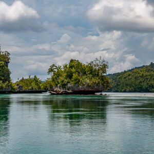 Small undercut islet before a jungle-covered island, calm water, Waigeo, Raja Ampat, Indonesia