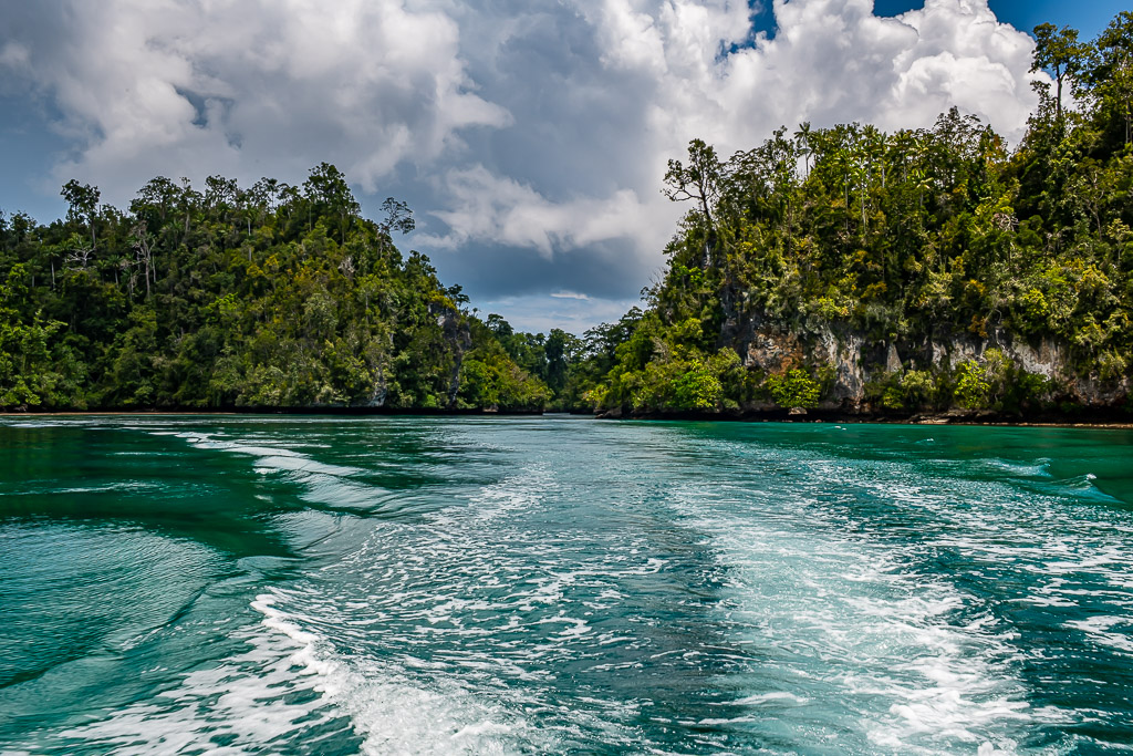 Boat wake through a channel between jungle-covered islands, Waigeo, Raja Ampat, Indonesia