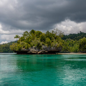 Mushroom-shaped islet in a green lagoon under a stormy sky, Waigeo, Raja Ampat, Indonesia