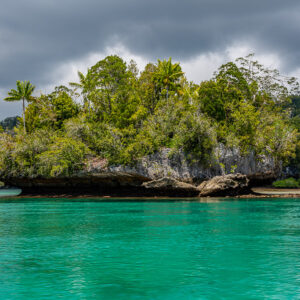Undercut islet with palm trees above clear emerald water, Waigeo, Raja Ampat, Indonesia