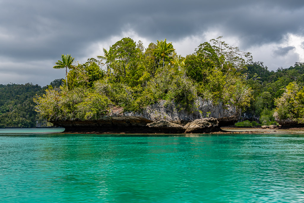 Undercut islet with palm trees above clear emerald water, Waigeo, Raja Ampat, Indonesia